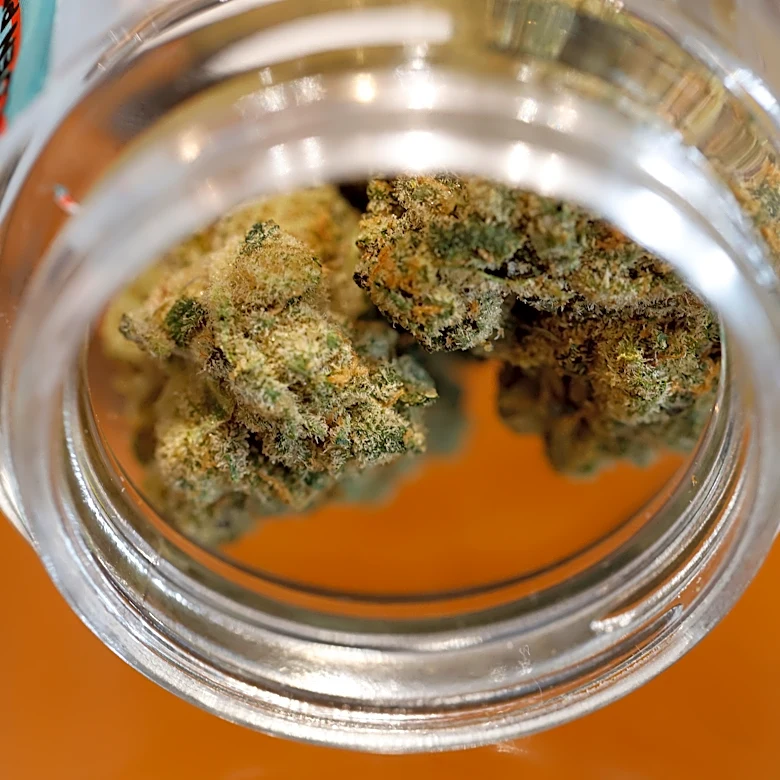 Michigan Supreme Court bars car searches for civil marijuana offenses
