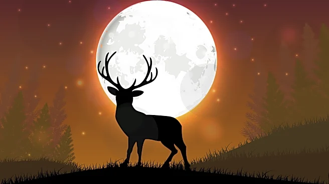 July full moon set to peak. 5 things to know