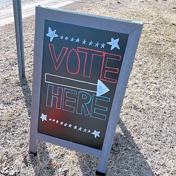 Early voting available through Aug. 2 in most Michigan communities
