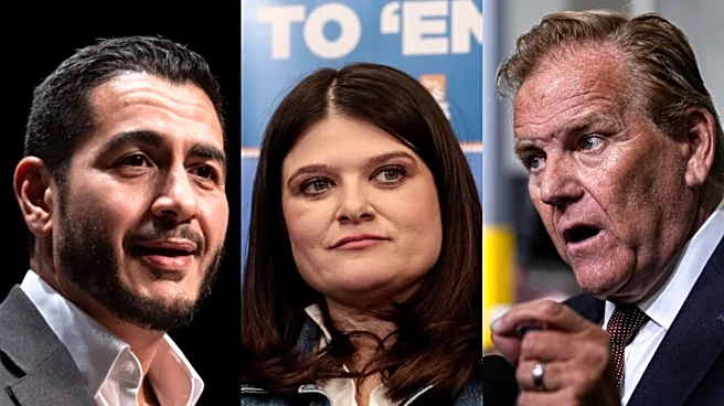 What's going to happen in Michigan's U.S. Senate primary | Opinion