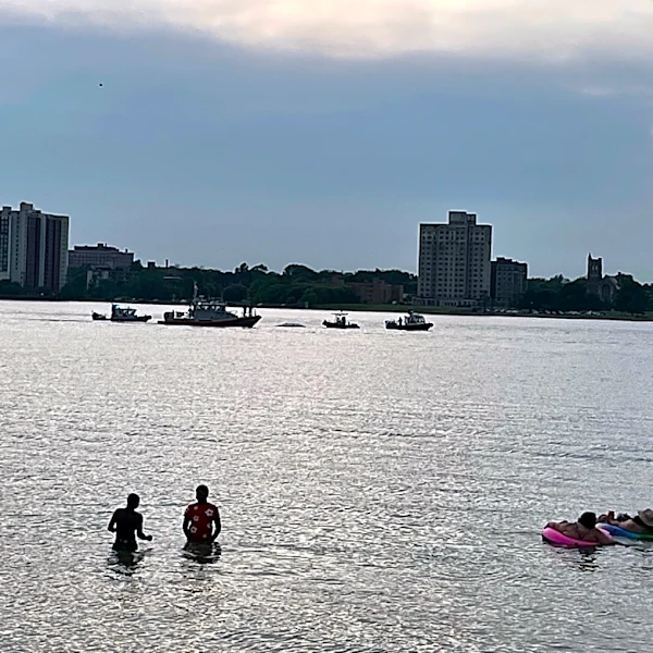 Is your favorite Michigan beach closed for swimming? Check advisories