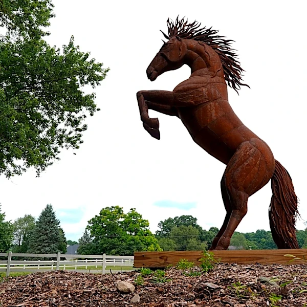 High Vibe cruelty investigation has everyone talking except horses