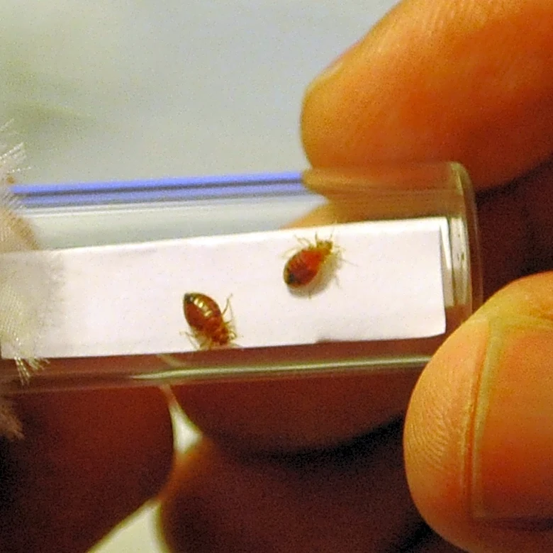 Another metro Detroit library is shutting down for bed bugs