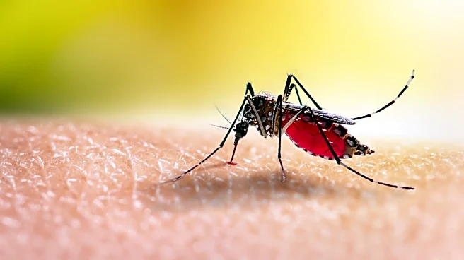 'Dangerous' mosquito-borne EEE virus infects Roscommon County resident