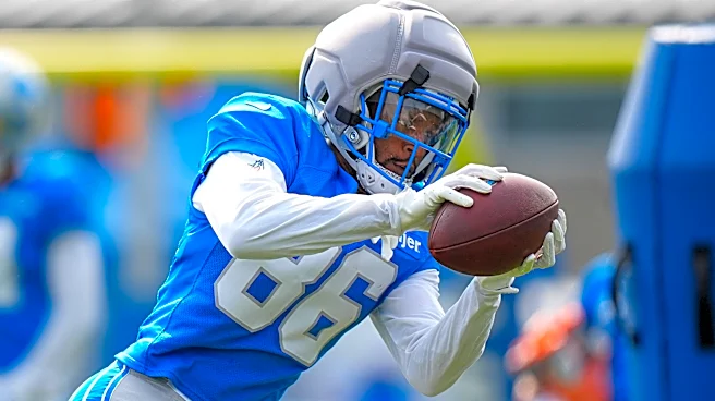 Life on roster bubble nothing new for Lions WR Cedrick Wilson Jr.