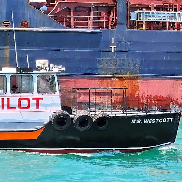 J.W. Westcott mail boat rescues 2 watercraft riders under Ambassador Bridge