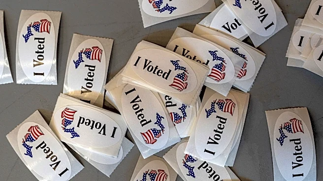 Deadlocked Michigan citizenship voting proposal sets stage for legal battle