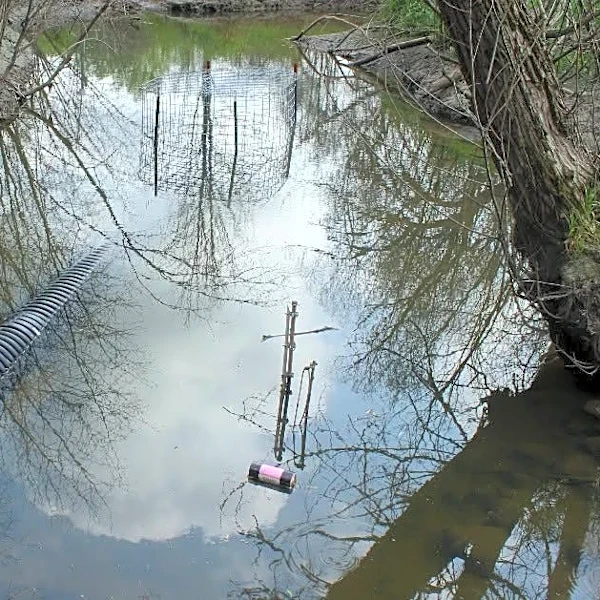 'Beaver Deceiver' installed to stop flooding at Oakland University