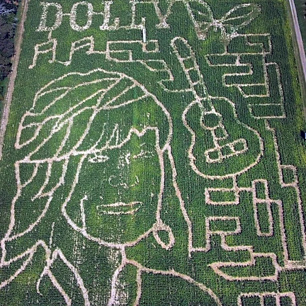 How a West Michigan corn maze became a Dolly Parton memorial
