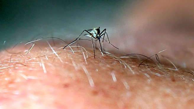 Risk of mosquito-borne viruses rises as EEE detected in Michigan horse