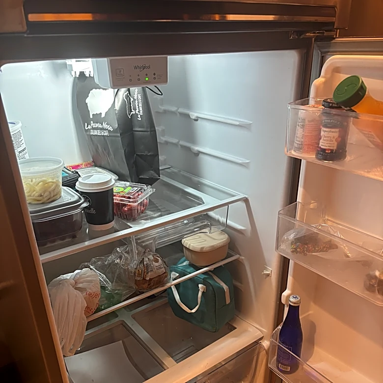 What to know about refrigerator and freezer foods if the power is out