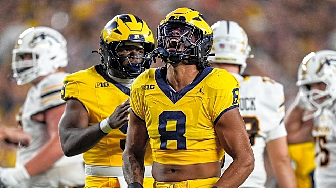 Refs, Bryce Underwood big losers in Michigan's miracle win vs WMU
