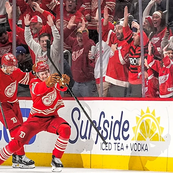 Simon Edvinsson intends to report to Red Wings training camp: report