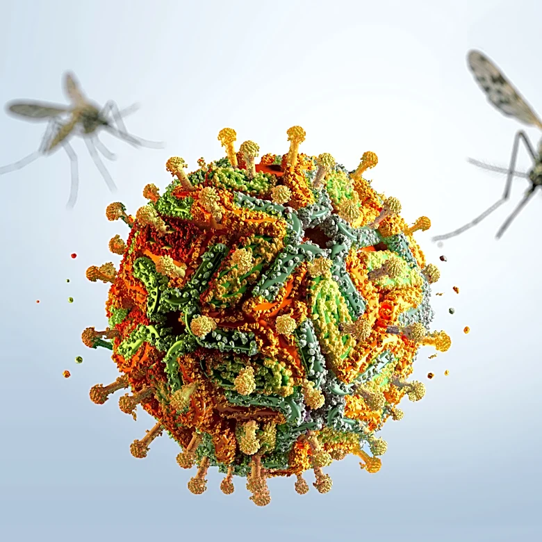 Oakland County IDs first probable case of West Nile Virus this year