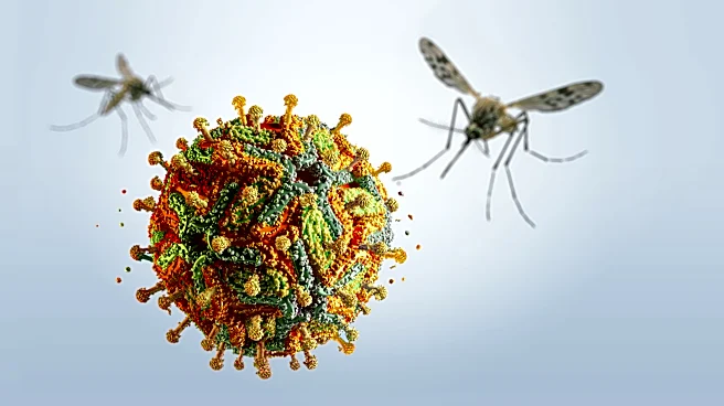 Oakland County IDs first probable case of West Nile Virus this year