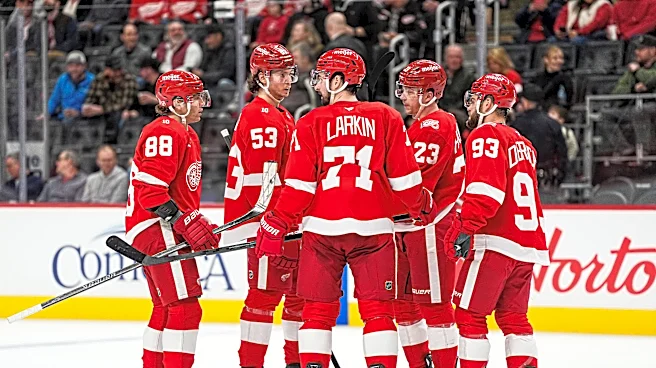 3 storylines I'm watching when Red Wings open NHL training camp