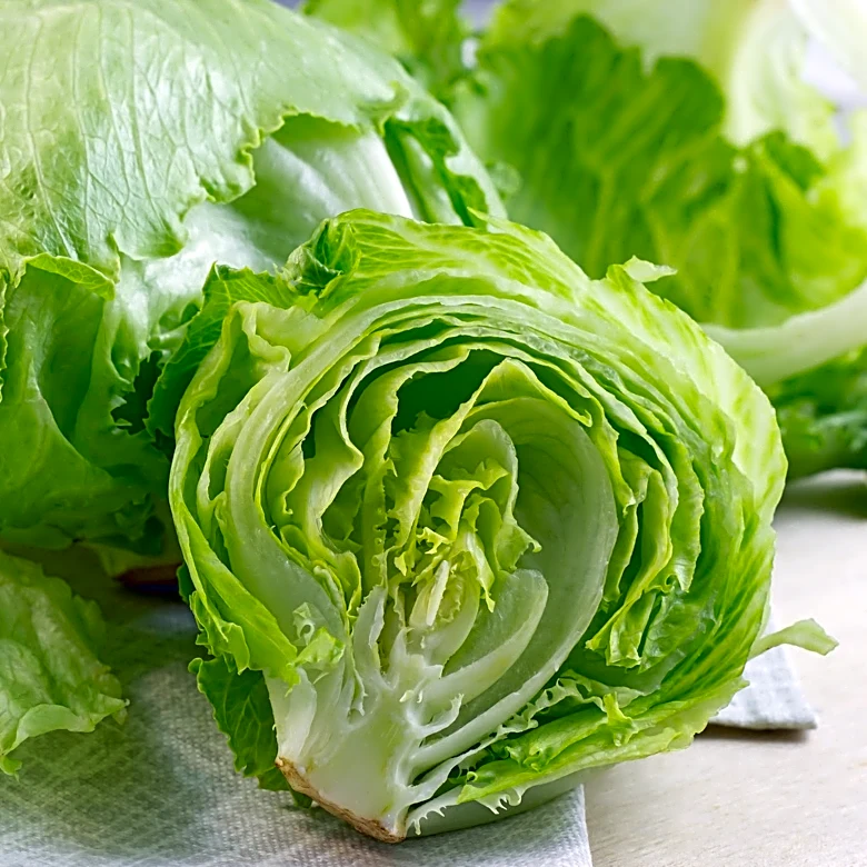 CDC declares cyclospora outbreak over. Michigan hardest hit
