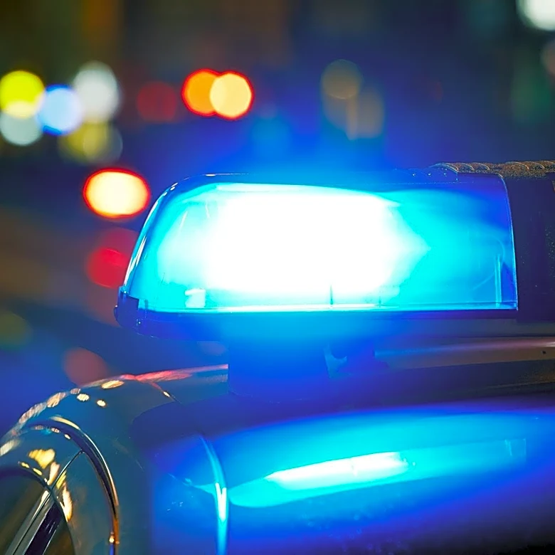 Grosse Ile Police use AI to generate a photo of remains found in Detroit River
