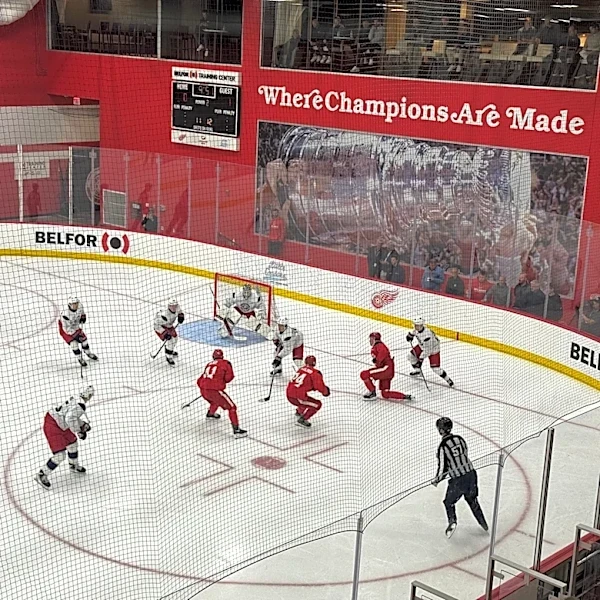 Detroit Red Wings' Nate Danielson ready to make impact after injury bug