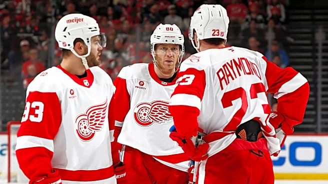 Red Wings have questions all over roster – we finally get a glimpse