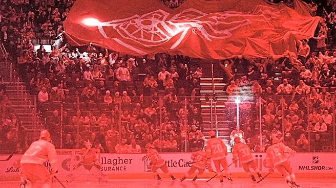 Red Wings announce TV channel move to Detroit SportsNet, MLB app