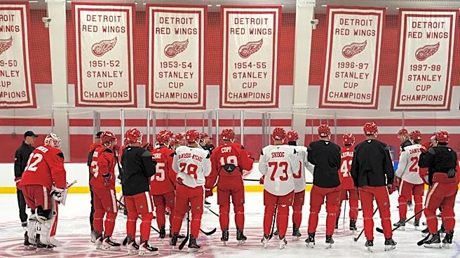 Todd McLellan 'not happy' with Detroit Red Wings as training camp ends