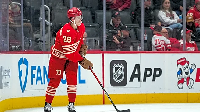 Why a confident Michael Brandsegg-Nygard is vital for Red Wings