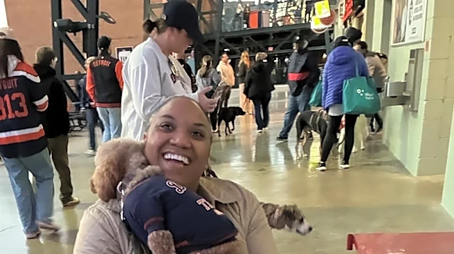Unlike the dogs at Tigers game Monday, Comerica Park's new name bites