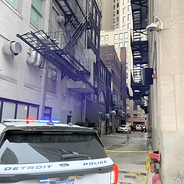 Downtown Detroit stabbing suspect worried doctors months ago