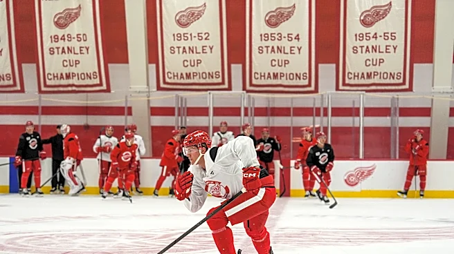 Red Wings young players devour Penguins in NHL preseason feast
