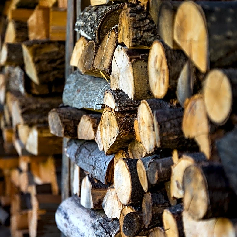 Michigan to ban some firewood in effort to keep invasive pests at bay