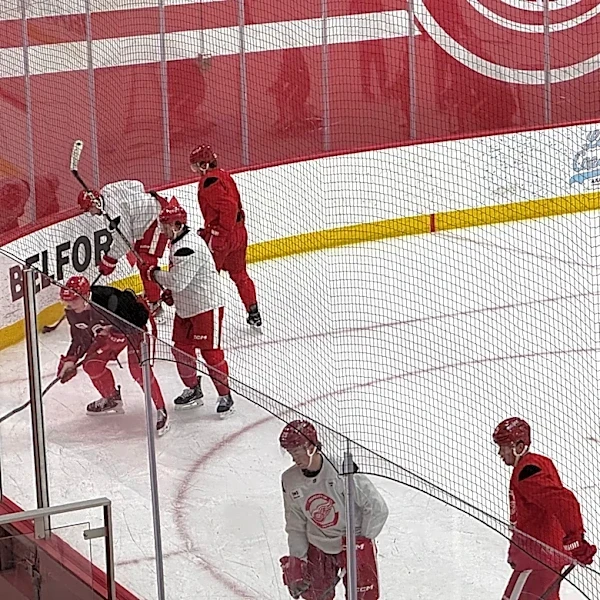 Will Dylan Larkin play for Red Wings in preseason? Here's what we know