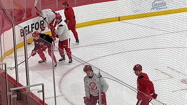 Will Dylan Larkin play for Red Wings in preseason? Here's what we know
