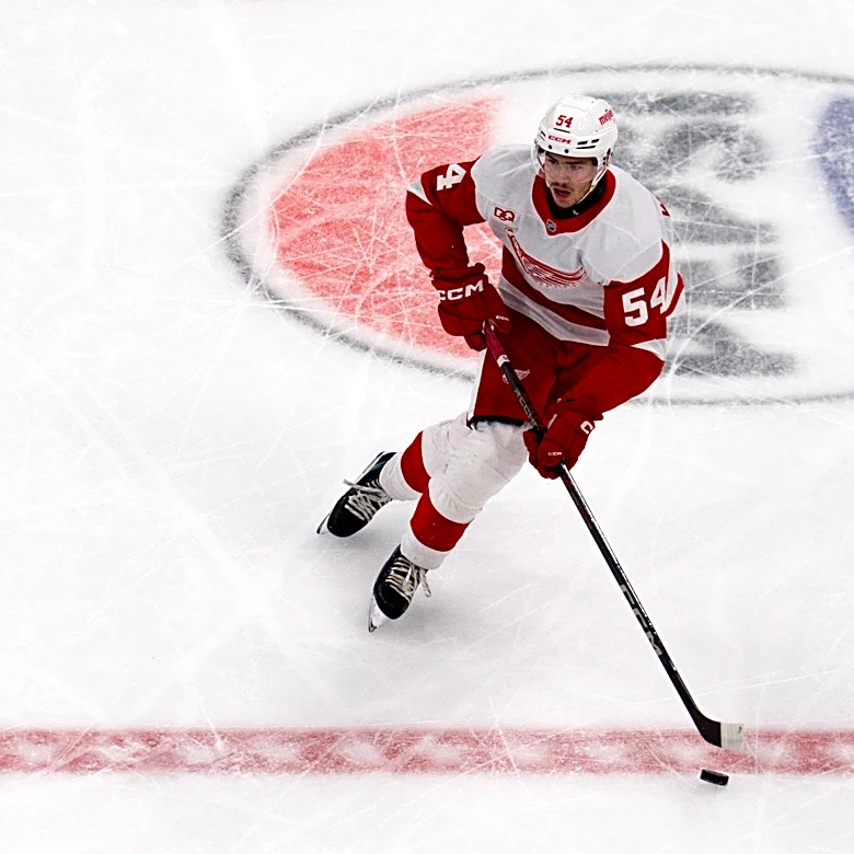 Why the battle to make Detroit Red Wings' defense is so heated