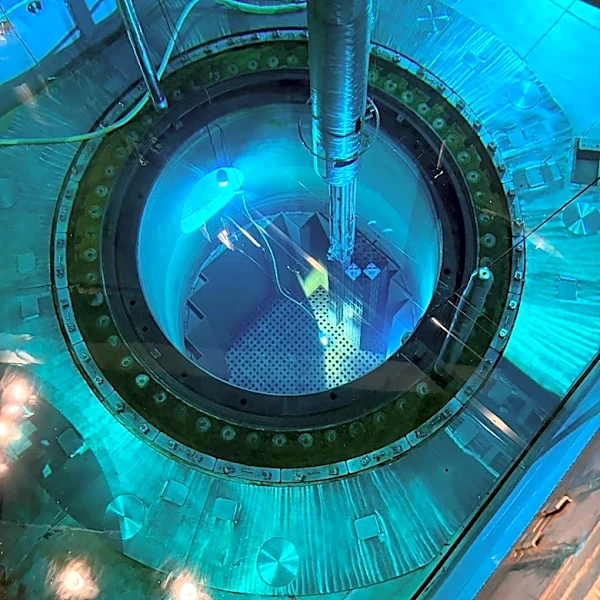 Nuclear regulators probe fuel assembly installation mishap at Palisades