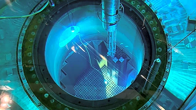Nuclear regulators probe fuel assembly installation mishap at Palisades