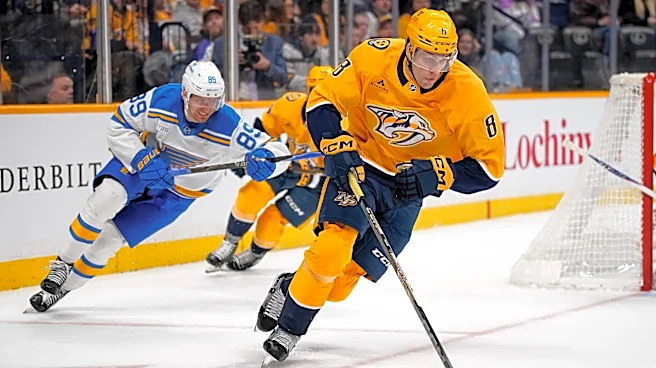 Detroit Red Wings add scrappy defenseman who loves to drop the gloves