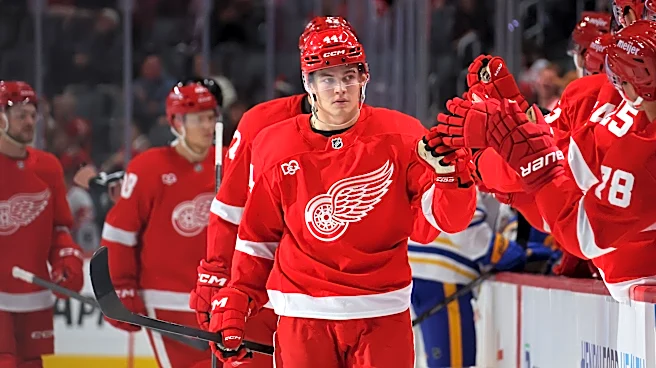 Detroit Red Wings hardly look ready in preseason loss to Jackets