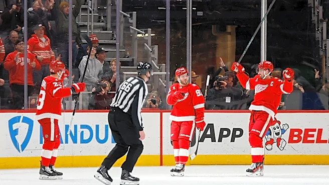 Why Dylan Larkin 'is the wild card' as Detroit Red Wings form lines