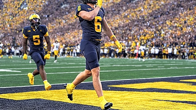 Michigan has been doing the hard stuff well. That's what's frustrating