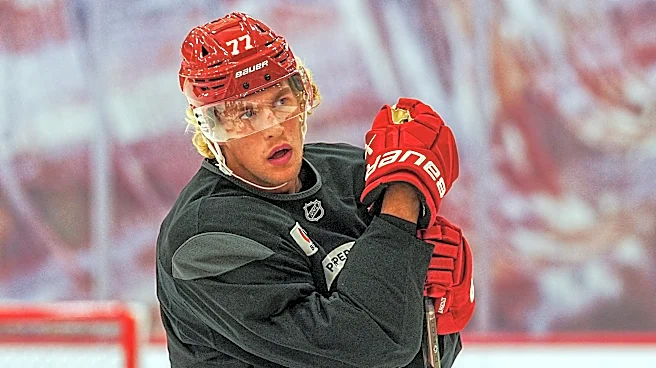 Red Wings D Simon Edvinsson is back in Sweden with season days away