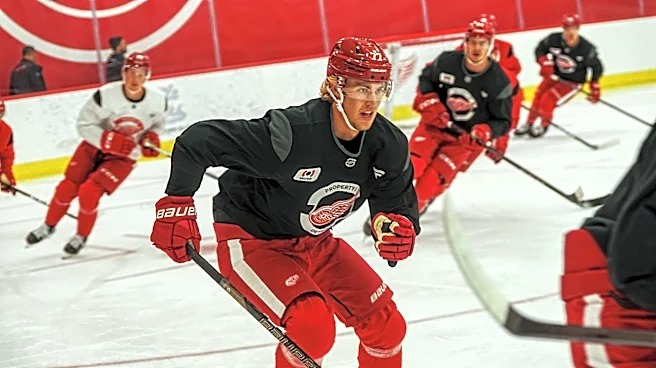 Red Wings ready to welcome Simon Edvinsson back from Sweden with open arms