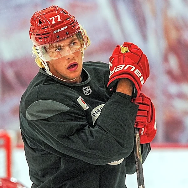 Red Wings GM 'didn't expect' Simon Edvinsson to return to Sweden