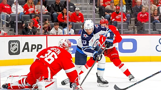 Red Wings hear more 'sell the team' chants in loss to Jets