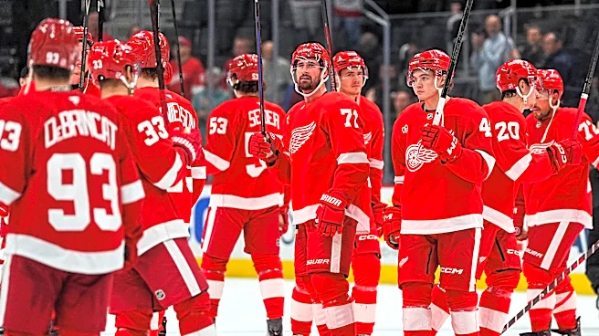Why Dylan Larkin pointed into stands after scoring goal for Red Wings