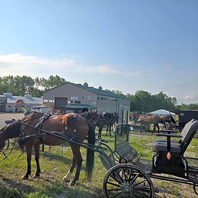 After latest crash, a plea to make roads friendlier for Amish buggies