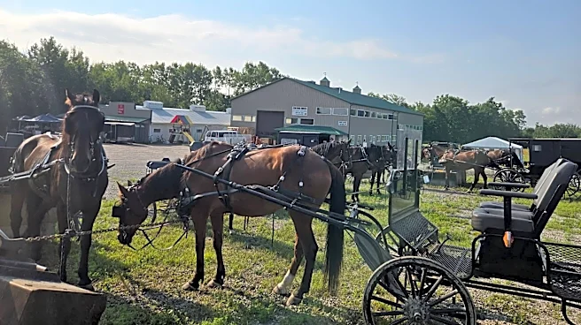 After latest crash, a plea to make roads friendlier for Amish buggies
