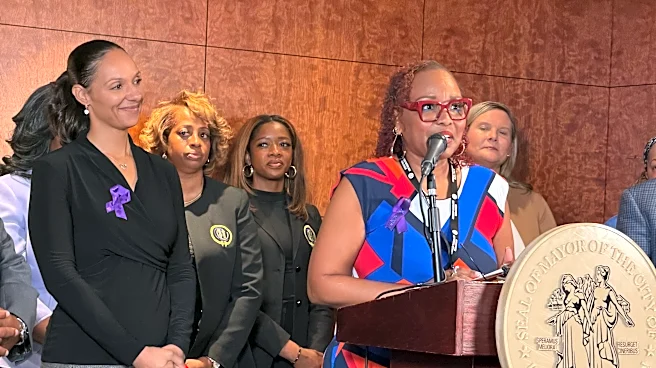 Mayor Sheffield appoints specialist to address domestic violence