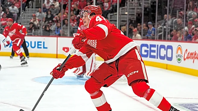 Rookie's emergence gives Red Wings option to trade Simon Edvinsson