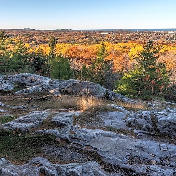 Fall colors are changing fast. Where to see peak color now